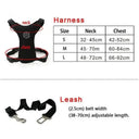 Outdoor Safety Harness for Active Dogs