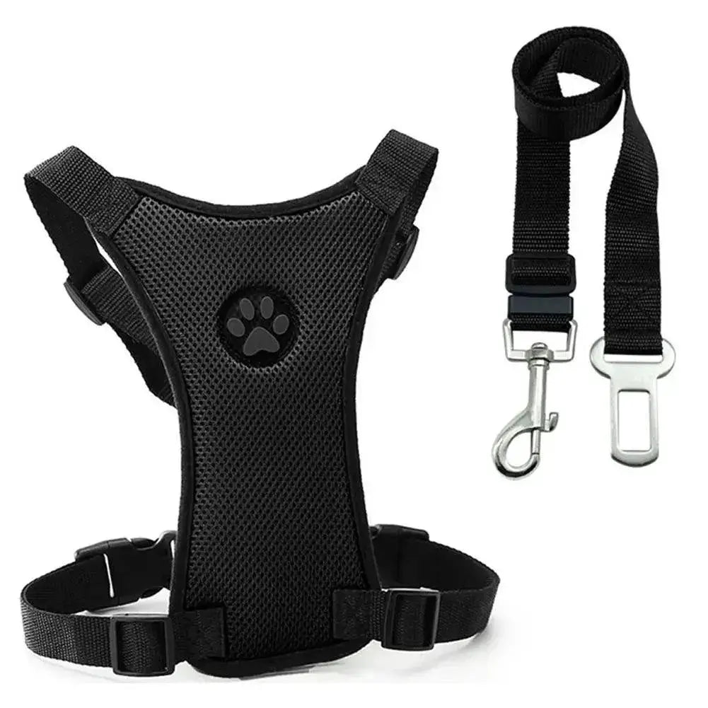 Adventure Dog Harness And Leash Set Outdoor Safety Upgrade