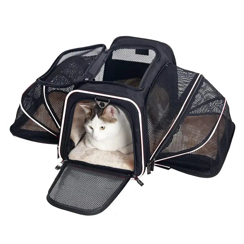 Pet Travel Carrier Bag Safe And Stylish Travel Solution
