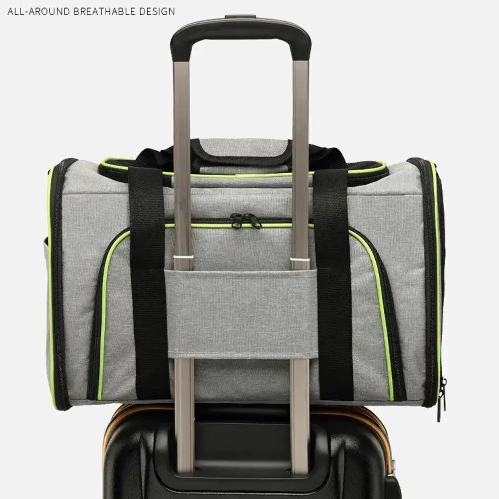 Pet Travel Carrier Bag Safe And Stylish Travel Solution