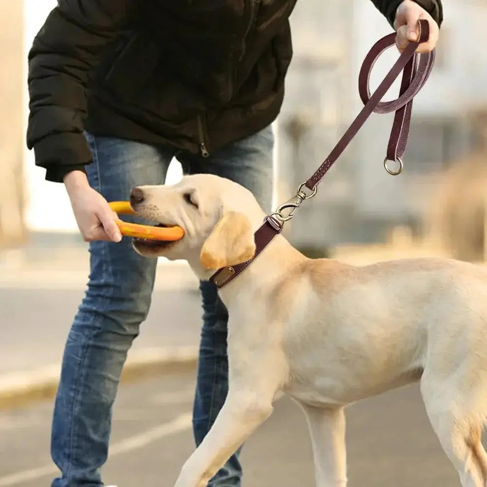 Personalized Leather Dog Collar Set With Free Engraving