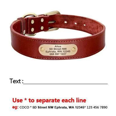 Personalized Leather Dog Collar Set With Free Engraving