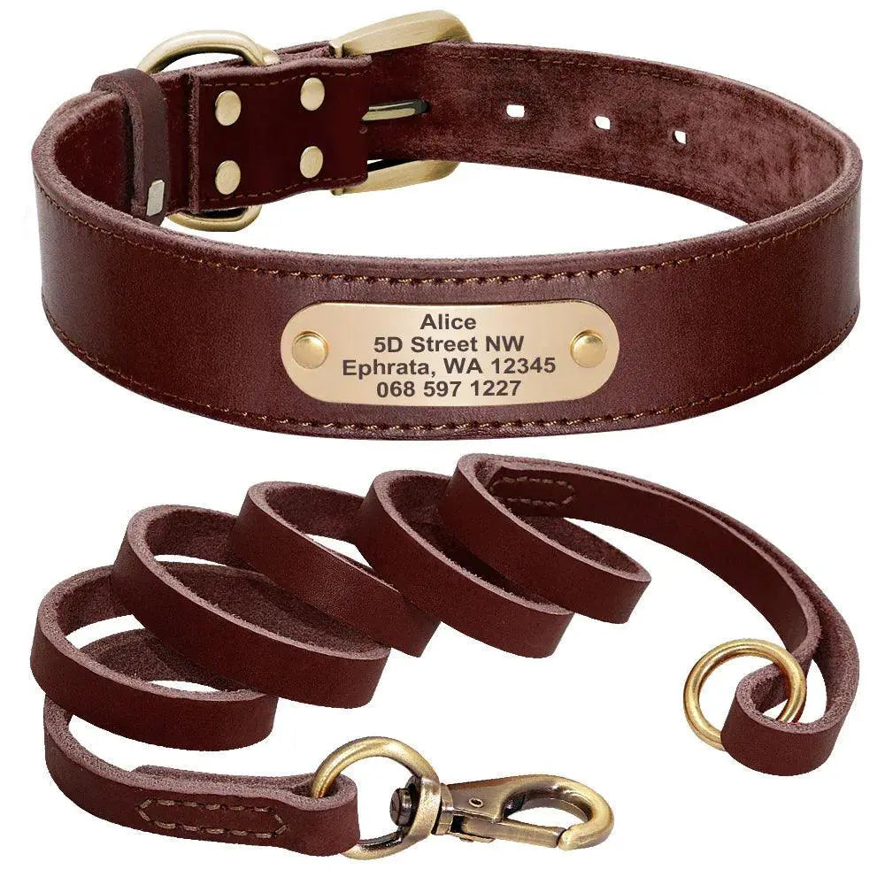 Custom Engraved Leather Dog Collar Set — product view 9