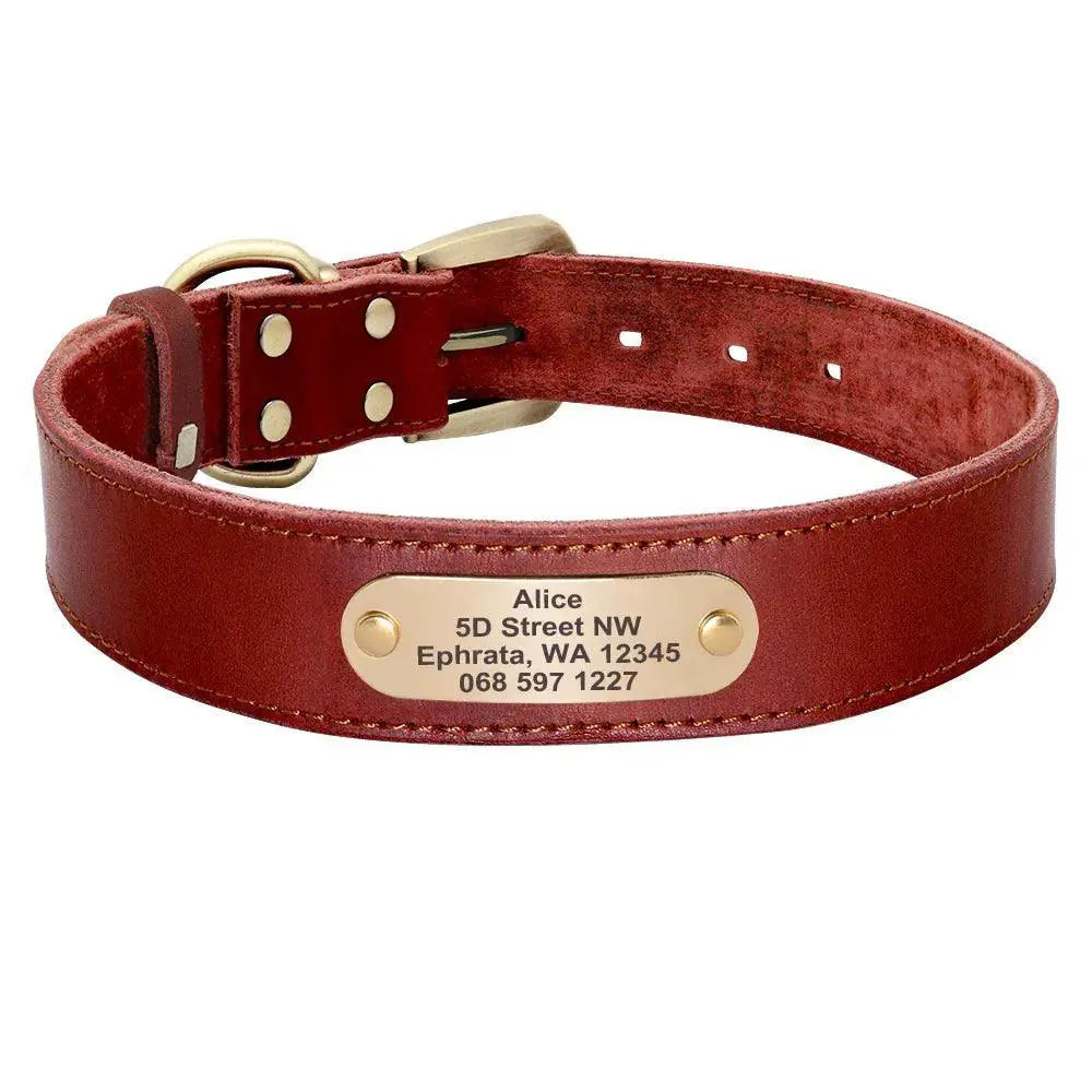 Custom Engraved Leather Dog Collar Set — product view 11