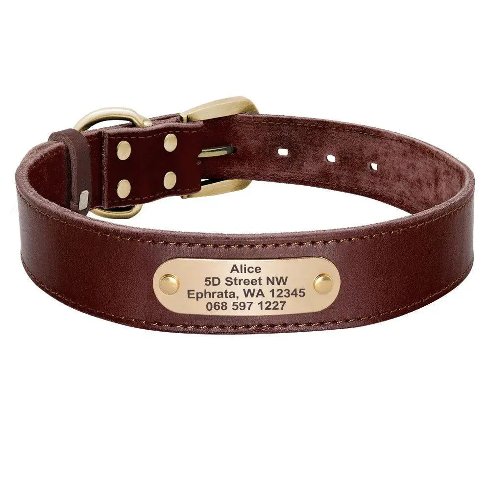 Custom Engraved Leather Dog Collar Set — product view 12