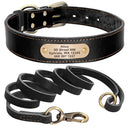 Personalized Leather Dog Collar Set With Free Engraving