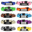 Engraved ID Cat Collar for Safe Pets
