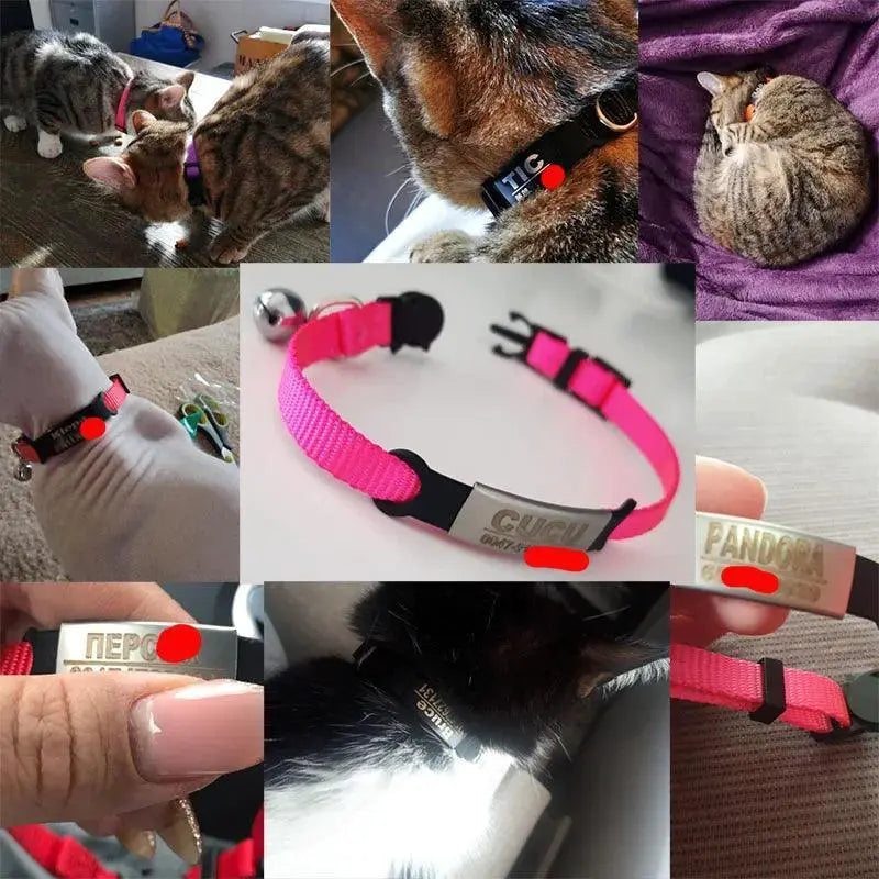 Cat Collar With Engraved ID Tag And Breakaway Safety