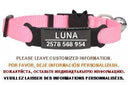 Cat Collar With Engraved ID Tag And Breakaway Safety