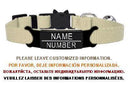 Cat Collar With Engraved ID Tag And Breakaway Safety