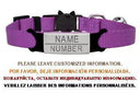 Cat Collar With Engraved ID Tag And Breakaway Safety