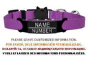 Cat Collar With Engraved ID Tag And Breakaway Safety