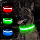 LED Safety Collar With Pendant For Small Pet Visibility