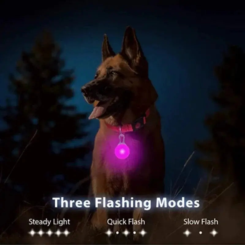 LED Safety Collar With Pendant For Small Pet Visibility