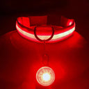 LED Safety Collar With Pendant For Small Pet Visibility