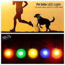 LED Safety Collar With Pendant For Small Pet Visibility