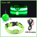 LED Safety Collar With Pendant For Small Pet Visibility