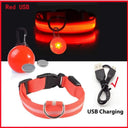 LED Safety Collar With Pendant For Small Pet Visibility