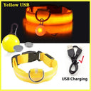 LED Safety Collar With Pendant For Small Pet Visibility