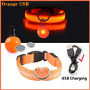 LED Safety Collar With Pendant For Small Pet Visibility