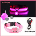 LED Safety Collar With Pendant For Small Pet Visibility