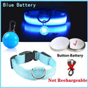 LED Safety Collar With Pendant For Small Pet Visibility