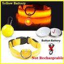 LED Safety Collar With Pendant For Small Pet Visibility