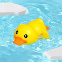 Safe Bath Toys for Babies Ocean Fun
