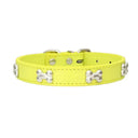 Bone Leather Dog Collar For Small And Large Dogs Stylish