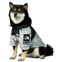 French Bulldog Raincoat Keeps Dry for Walks