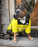 French Bulldog Raincoat Keeps Dry for Walks