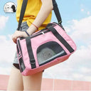 Comfortable Mesh Dog Carrier for Travel