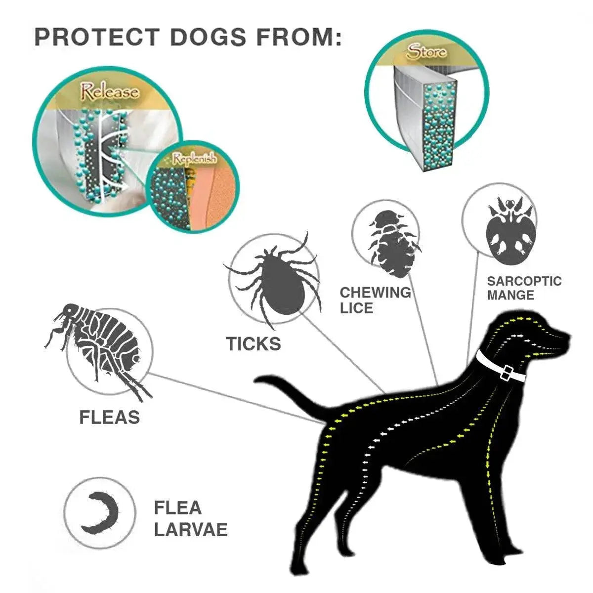 Advanced Flea Tick Collar for Small Pets Adjustable