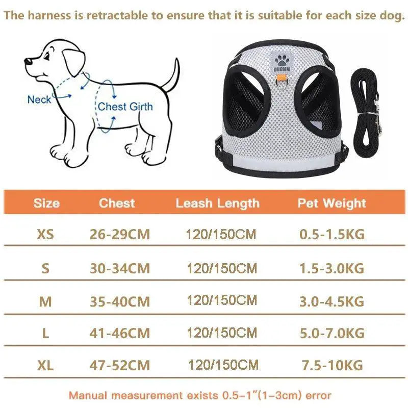 Reflective Dog Harness Set With Leash For Small Medium Pets
