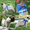 Reflective Dog Harness for Small Pets