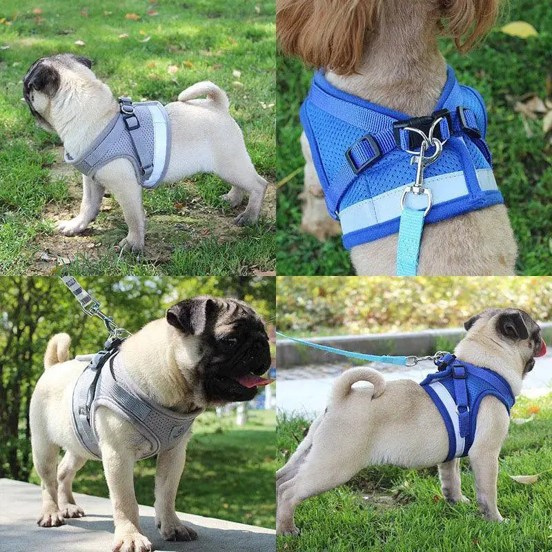 Reflective Dog Harness Set With Leash For Small Medium Pets