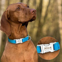 Customized Reflective Nylon Dog Collar for Safety and Style