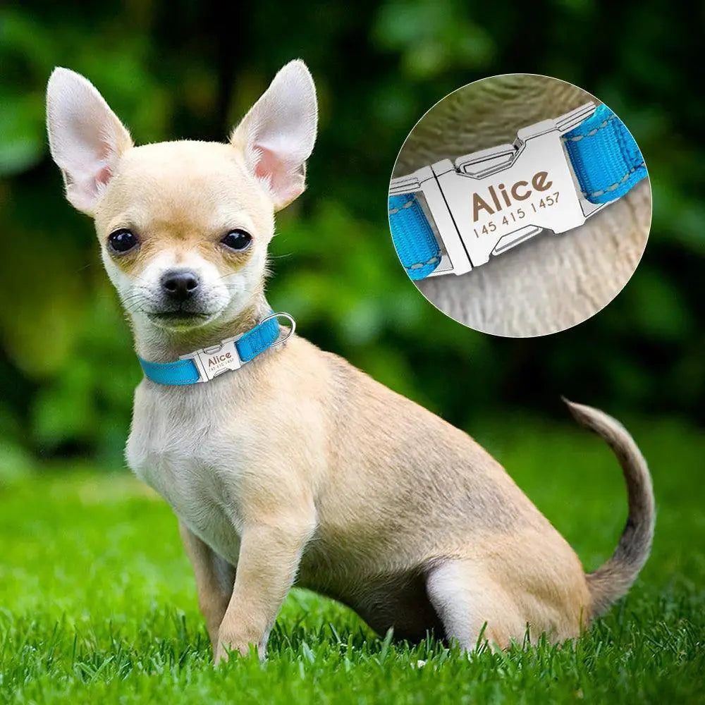 Customized Reflective Nylon Dog Collar for Safety and Style