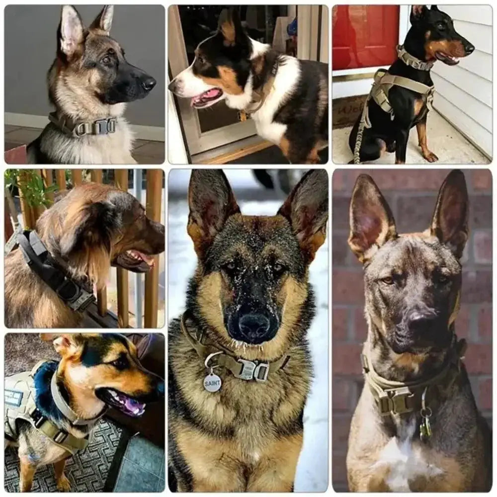 Tactical Dog Collar for Medium and Large Pets Walking