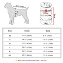 Warmth Boost Dog Jacket for Walks Daily