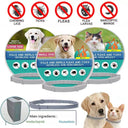 Anti Flea Collar For Dogs And Cats Long Lasting Protection