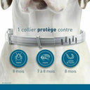 Anti Flea Collar For Dogs And Cats Long Lasting Protection