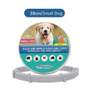 Anti Flea Collar For Dogs And Cats Long Lasting Protection