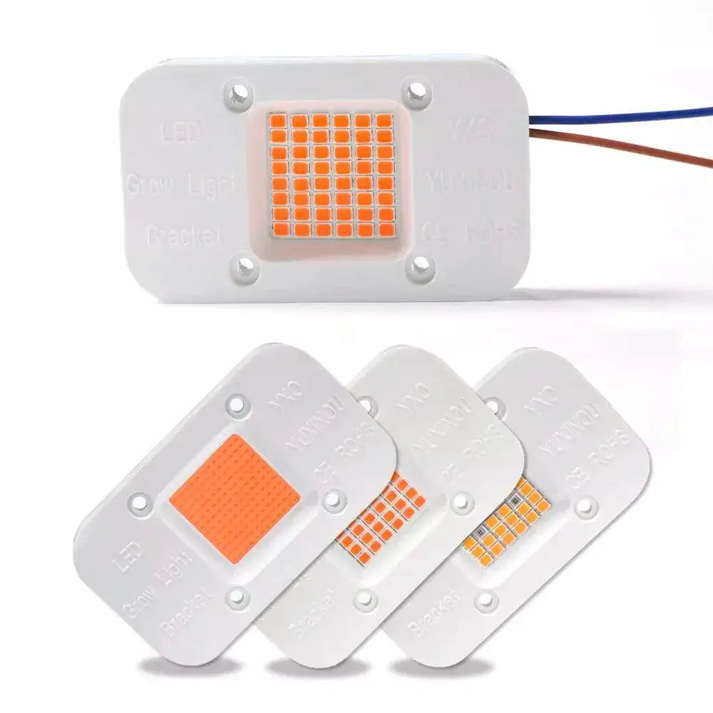 High Powered LED Lens Reflector for Superior Illumination