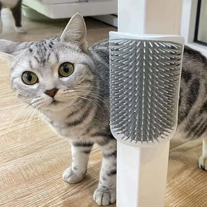 Gray striped cat rubbing face on mounted light blue self-grooming brush with catnip