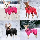 Warm Waterproof Dog Jacket With Harness