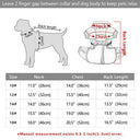 Warm Waterproof Dog Jacket With Harness
