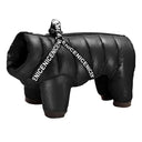 Warm Waterproof Dog Jacket With Harness