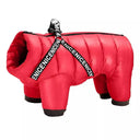 Warm Waterproof Dog Jacket With Harness