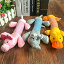 Dog Plush Squeak Toy for Dental Health